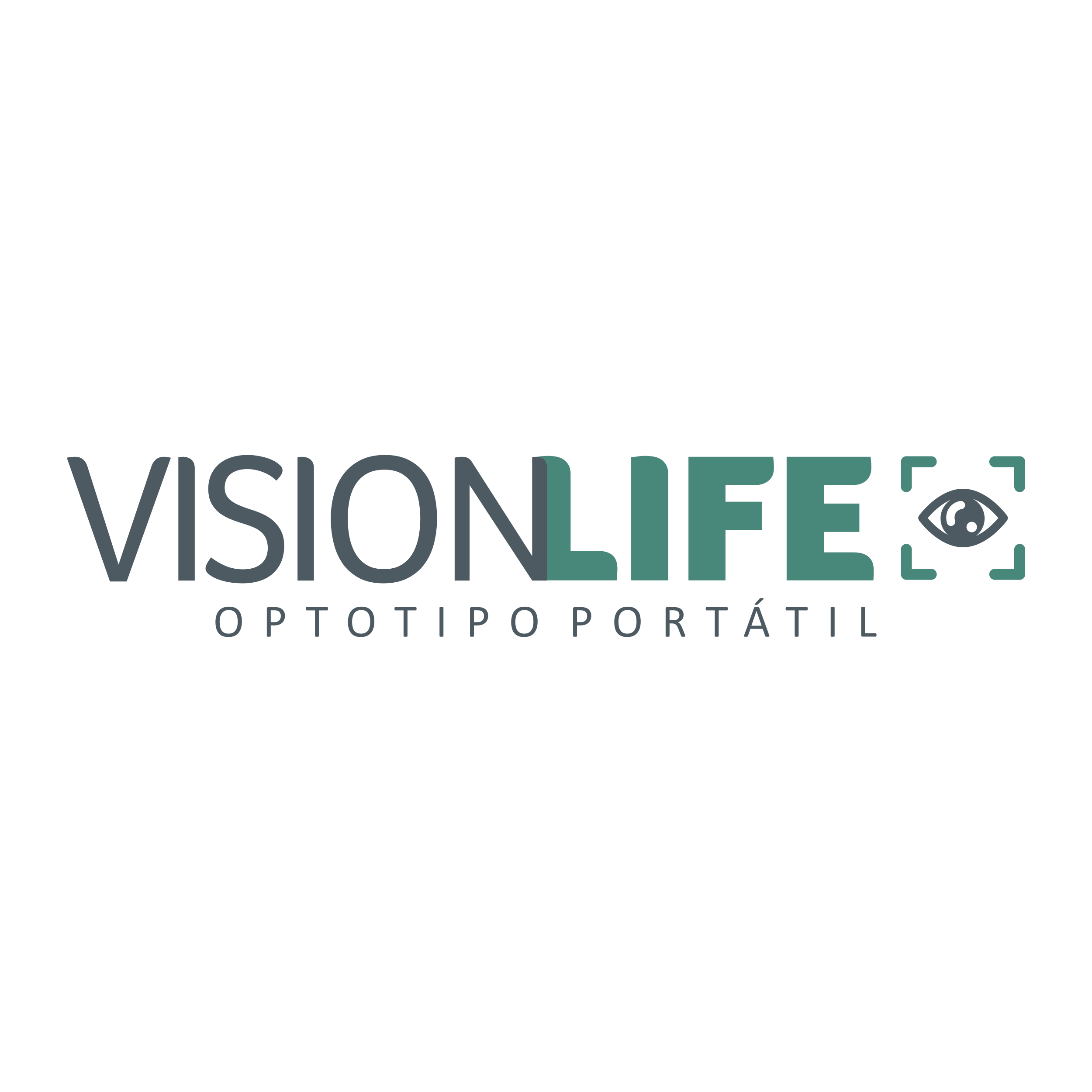 Vision Life